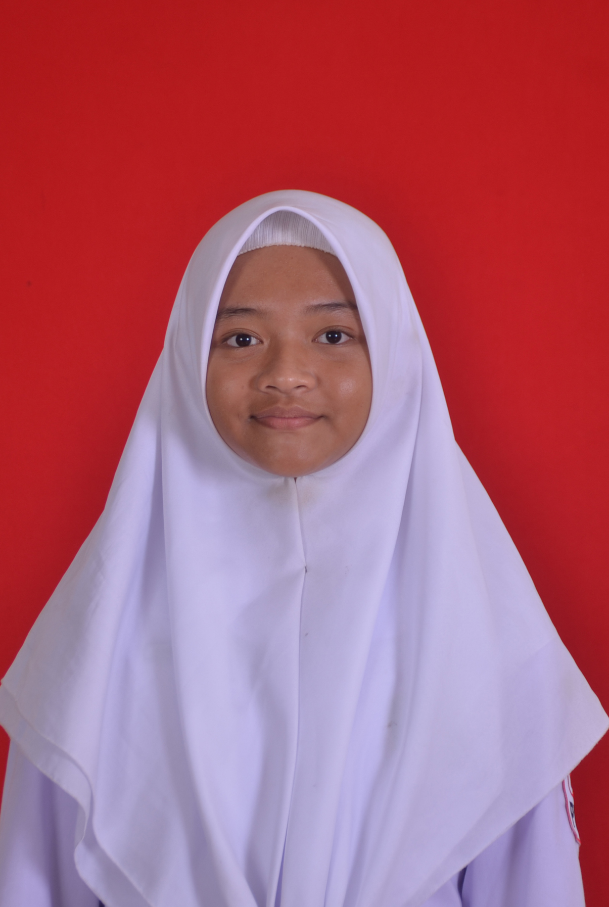 Annisa Nur Aini