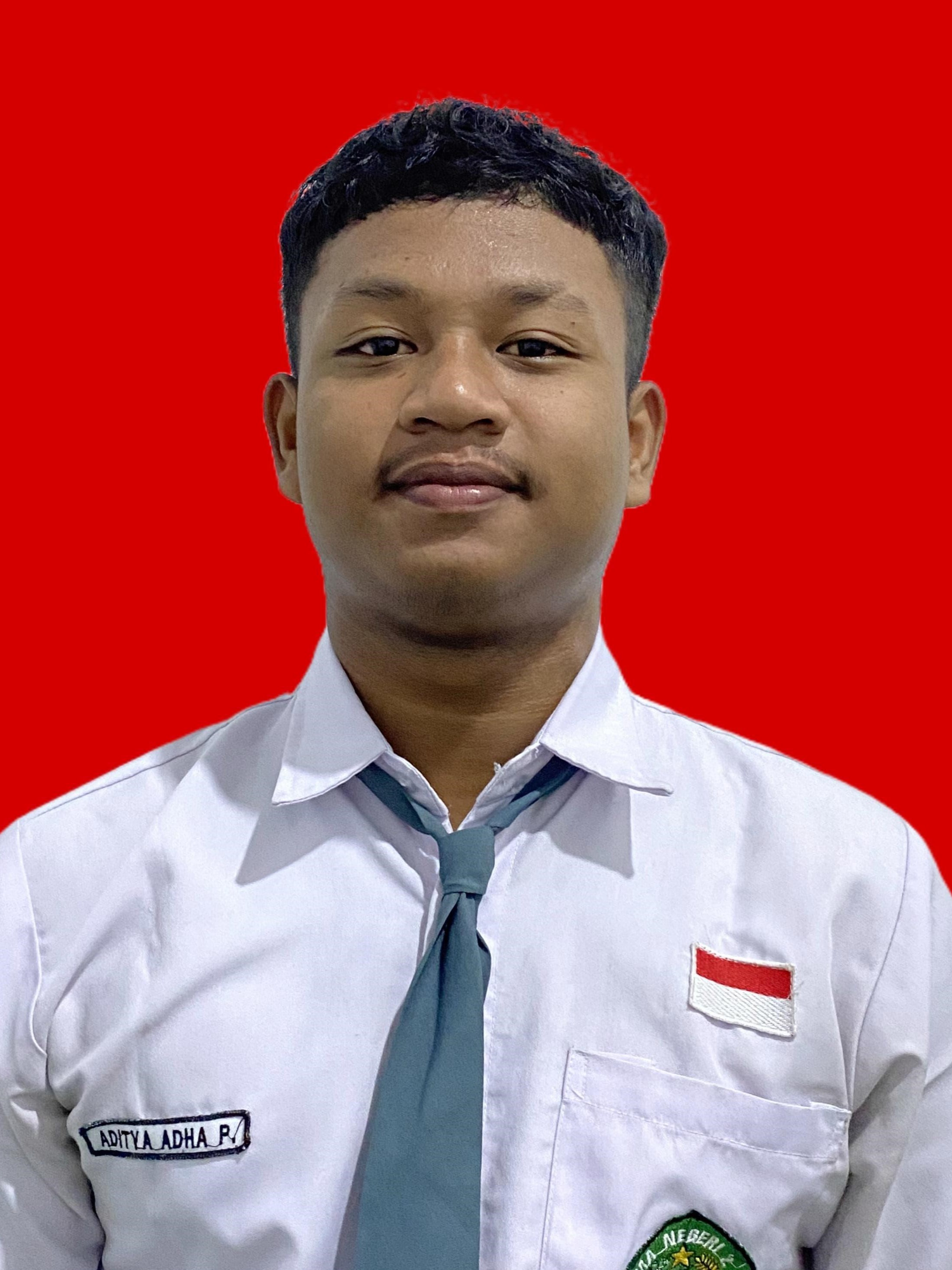 ADITYA ADHA PRATAMA