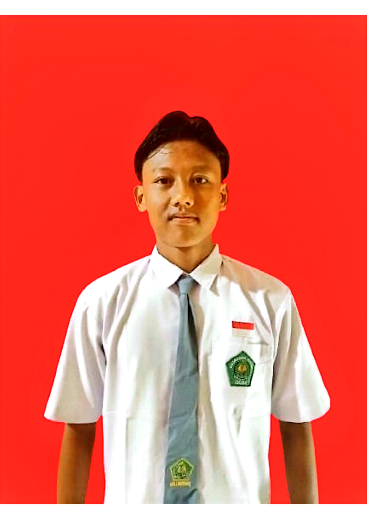 Frido Arya Nugroho
