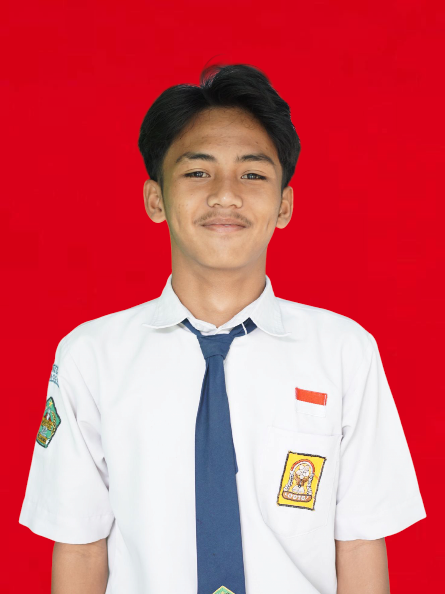 SATRIA ARYA PRASETYA