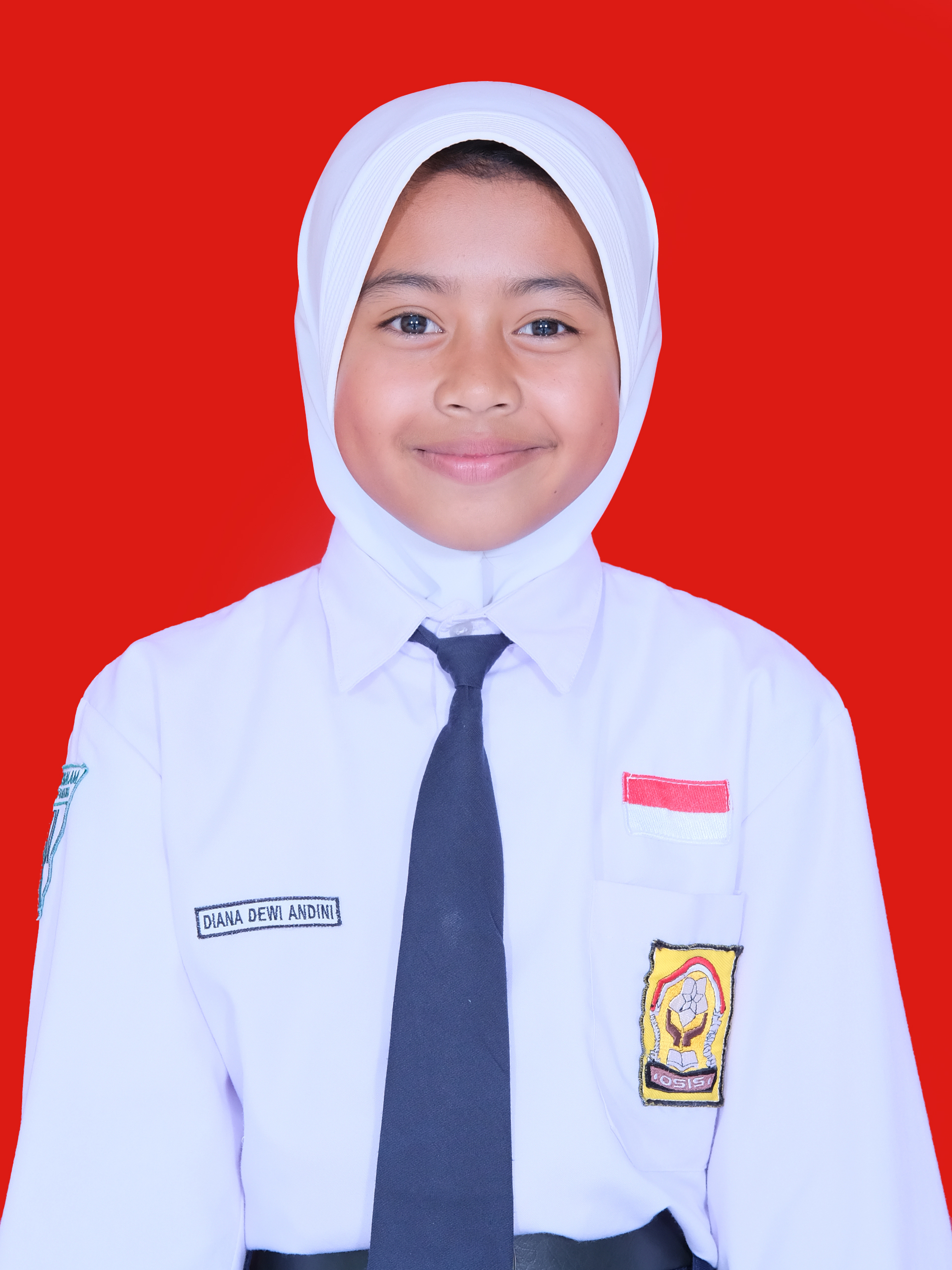 DIANA DEWI ANDINI