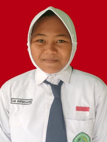 ILMA NURMALA SARI