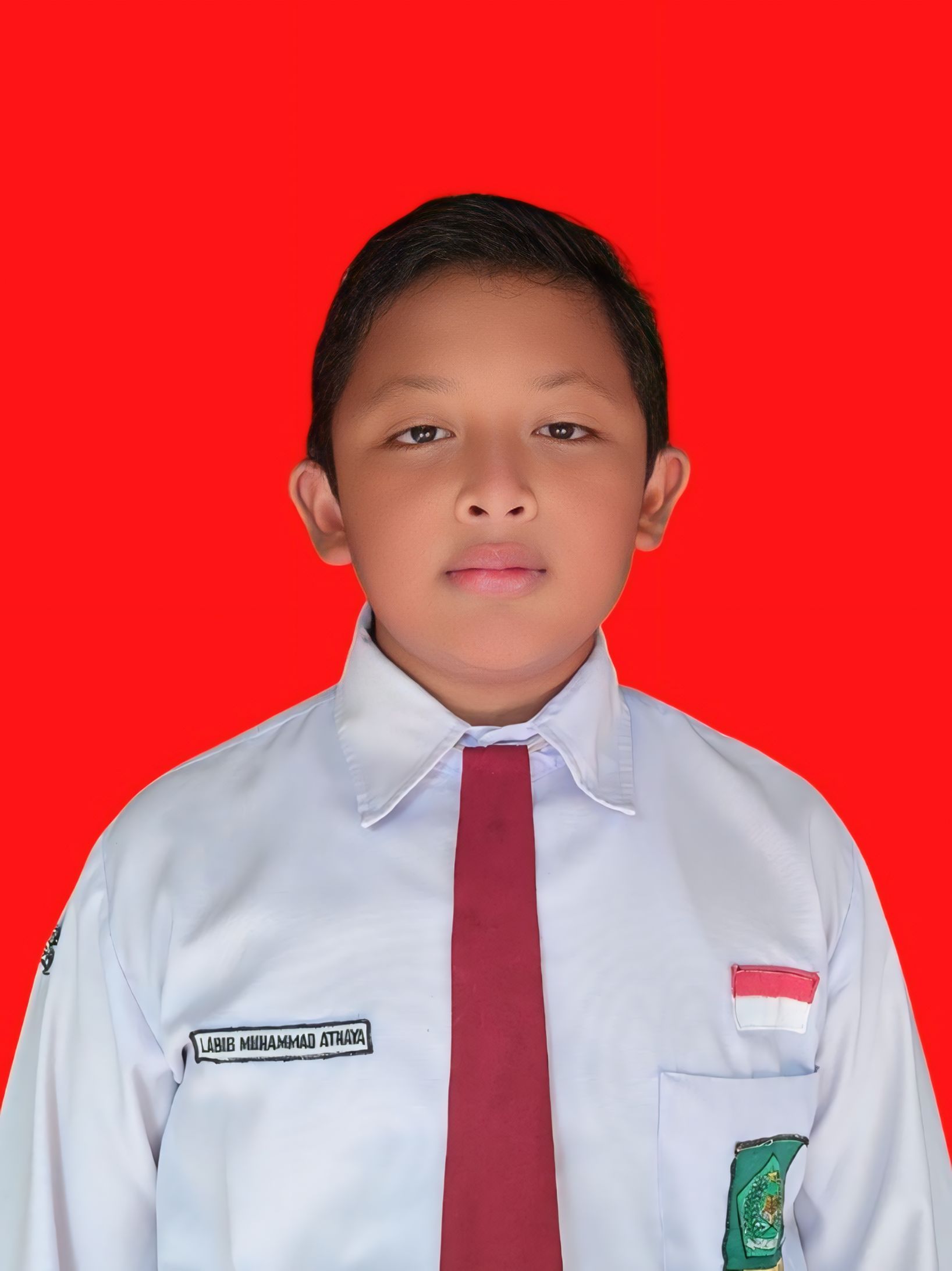 LABIB MUHAMMAD ATHAYA